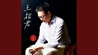 王招君 (男声版)