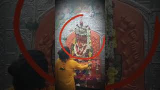 ude g ambe ude | साक्ष्यात देवी ने दिला आशीर्वाद #tulja_bhavani #saptshrungi