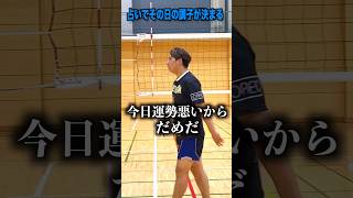 どのスパイカーが好き？#バレー #shorts