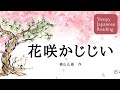 眠くなる朗読「花咲かじじい」楠山正雄 asmr 日本語 低音女性の声 子どもの寝かしつけ japanese reading female low voice get sleepy