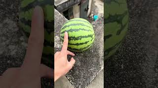 Experiment: Will a watermelon explode if it rolls down from a tall building?