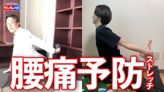 ドクター監修！！「腰痛予防ストレッチ」（健康カプセル！ゲンキの時間）