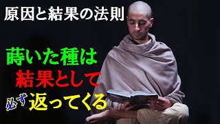 自分がまいた種は必ず結果として返ってくる そのタイミングは？人生の原因と結果の法則【因果】