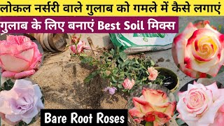 नर्सरी से गुलाब के पौधे खरीद के गमले में कैसे लगाएं🌹How To Repot New Rose Plant In Pot🌹Rose Soil Mix