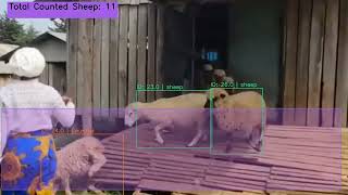 Sheep Counting with AI using YOLO11 | Smart Livestock Farming with Computer Vision