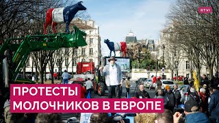 Новые протесты в Европе. Почему к демонстрациям присоединились молочники и как реагируют власти?