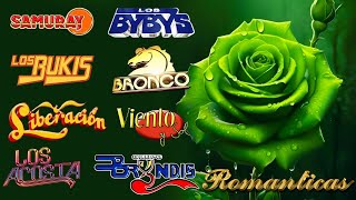 Gruperas 90s del Recuerdo Bronco, Temerarios, Bukis, Acosta, Bryndis, Caminantes, Yonics y Ma