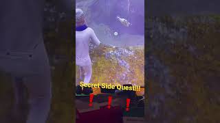 Hogwarts Legacy SECRET Side Quest !!