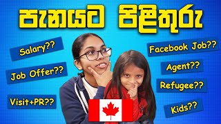 ඔබේ පැනයට මගෙන් පිළිතුරු | Answering Your Questions (Q & A ) | Canada Sinhala Vlogs |@SehaVlogs