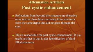 Ultrasound Artifacts