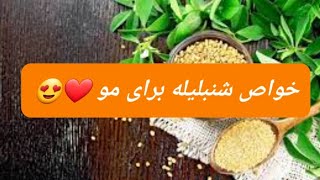 خواص شنبلیله برای مو❤️😍