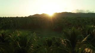 @samanaecolodge This golden hour. #landscape #caribbean #junglelodge