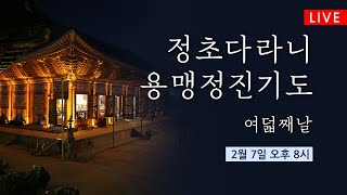 정초다라니 용맹정진기도 여덟째날(2/7 20시) #조계사 #정초다라니 #생중계