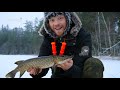 ice fishing perch hotel team galant