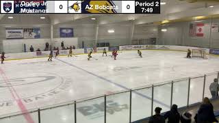 Ogden Jr. Mustangs vs AZ Bobcats 10u