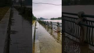 河南周口主河道「沙穎河」水位已經溢出，如果再下一場大雨，城市將徹底癱瘓