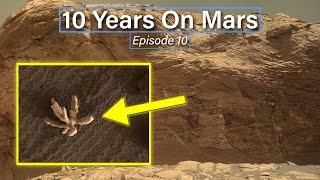 10 Years On Mars (Ep 10): A Martian Flower For Curiosity