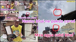 Nannu bhai ka shok | aaj pakda zarad kabutar | kisi ka bhatka hua | delhi ki kabutar bazi pigeon