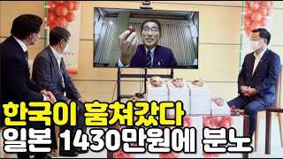 한국이 훔쳐갔다 일본 뿔난 루비로망 1430만원 당도 크기 엄청나