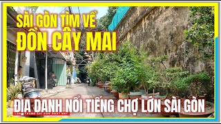 Sài Gòn TÌM VỀ ĐỒN CÂY MAI | ĐỊA DANH NỔI TIẾNG CHỢ LỚN SÀI GÒN | Cuộc Sống Sài Gòn Ngày Nay