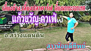 แก้วขวัญคาเฟ่ อ.สว่างแดนดิน : สาวน้อยเมืองสว่าง