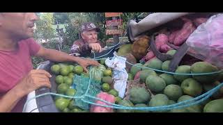 AMIGOS DE TIANGUÁ CEARA TROUXERAM O CARRO CHEIO DE FRUTAS E MUDAS DE PLANTAS