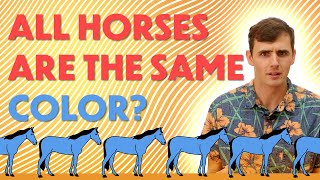 Proving all horses are the same color with MATH