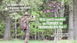 Was macht eigentlich ein Ranger im Nationalpark Harz?