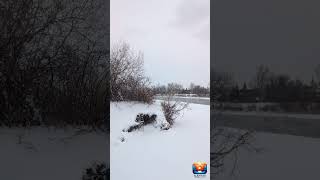 #snowyday #river #parks #sky #yyc #winterwalk #cold #weather #nature #shorts #snow #canada  #tour