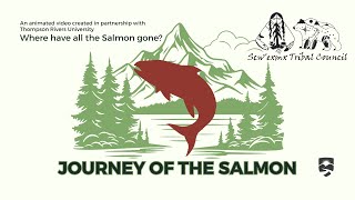 Journey of the Salmon - Where have all the Salmon gone?