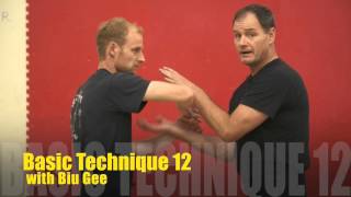 Chi Sao: 13 Basics Pt 11 + 12 w Biu Gee