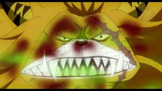 ☣ ONE PIECE AMV catch fire ☣