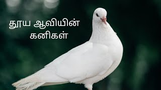 தூய ஆவியின் கனிகள். thooya aaviyin kanigal