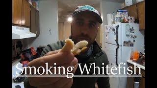 Smoking Mountain Whitefish | Catch and Cook | Wild West Trail