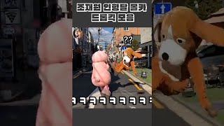 귀여운 동물들이 사악해진다면?ㅋㅋㅋㅋㅋㅋㅋㅋ #shorts