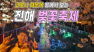 [국내 4월 여행지] 코로나 때문에 방에서 보는 진해 군항제 벚꽃 축제!ㅣ여좌천, 야경, 제황산공원ㅣ교통정보