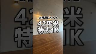 【驚愕】恵比寿の特大1Kデザイナーズがヤバすぎた#shorts #デザイナーズマンション #おしゃれな暮らし #ひとり暮らし #qol