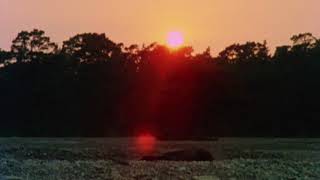 CFCF - Lighthouse on Chatham Sound