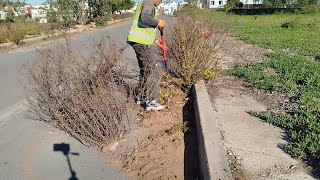 Lady almost CRIES After I COMPLETELY Transformed sidewalk In front of her garden