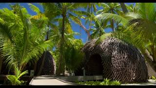 THE BRANDO, Tetiaroa Private Island - Polinésia Francesa