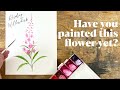 painting gorgeous watercolor flowers step by step tutorial for beginners