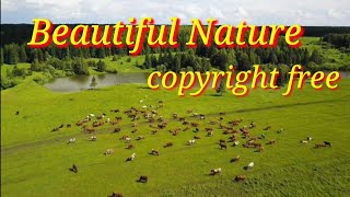 Beautiful nature with music copyright fee