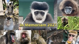 In Memoriam 2021