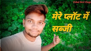 मेरे प्लॉट मे सब्जी 😊@sumitmauryavlogs ||Vishal Desi Vlogs|| #vlogs #dailyvlog