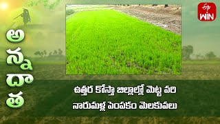 Dry paddy nursery management in north coastal region | ETV