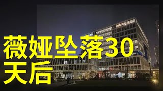 薇娅坠落30天后