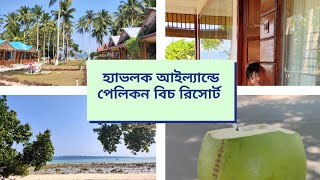 হ্যাভলক আইল্যান্ডে পেলিকন বিচ রিসোর্ট | Pellicon Beach Resort In Havelock | The JS Vlog # 55