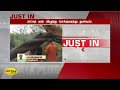 ராட்சத மரம் விழுந்து போக்குவரத்து துண்டிப்பு breaking heavy rain giant tree fell traffic jam