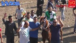 سباق الخيل العربية الأصيلة النعامة الخالديه داهرين ميدان الأحلام البطوف كفر مندا 2/9/2016