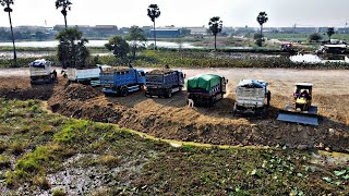 Lake Filling Project: Utilizing 5-Ton Trucks and Bulldozers for Soil Compaction